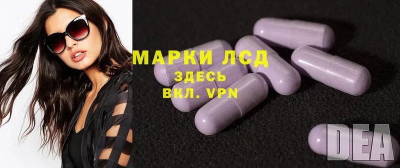 маркетплейс состав  Богородск  Лсд 25 экстази ecstasy  мега ССЫЛКА 